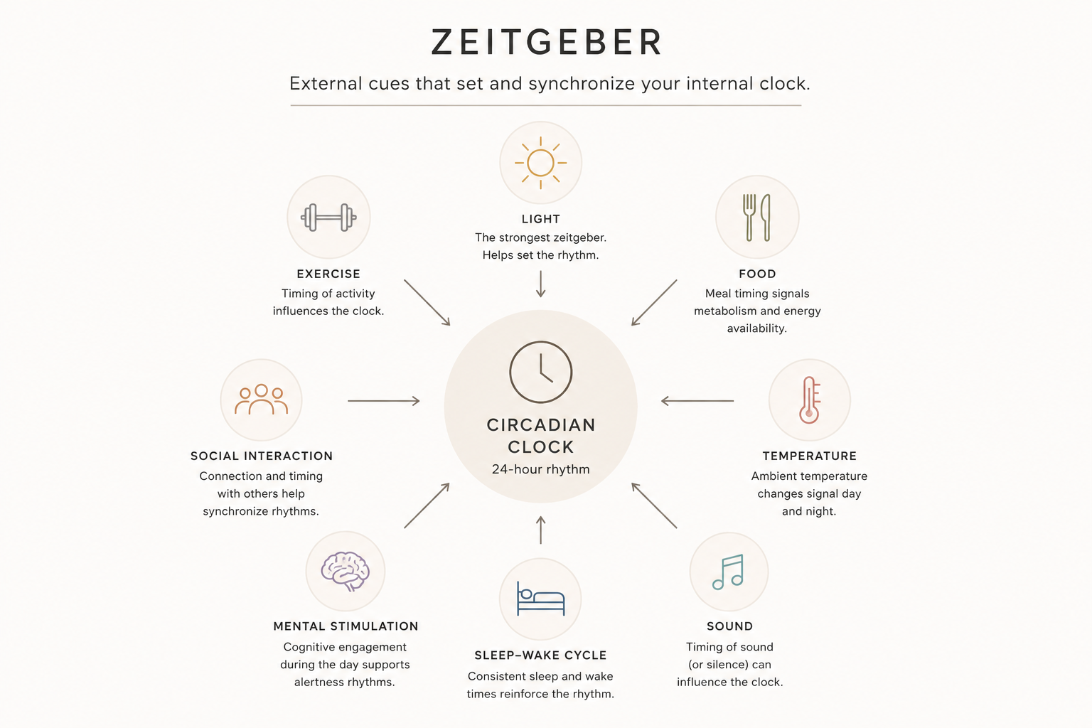 Light is the primary zeitgeber. Dim it 90 minutes before bed.