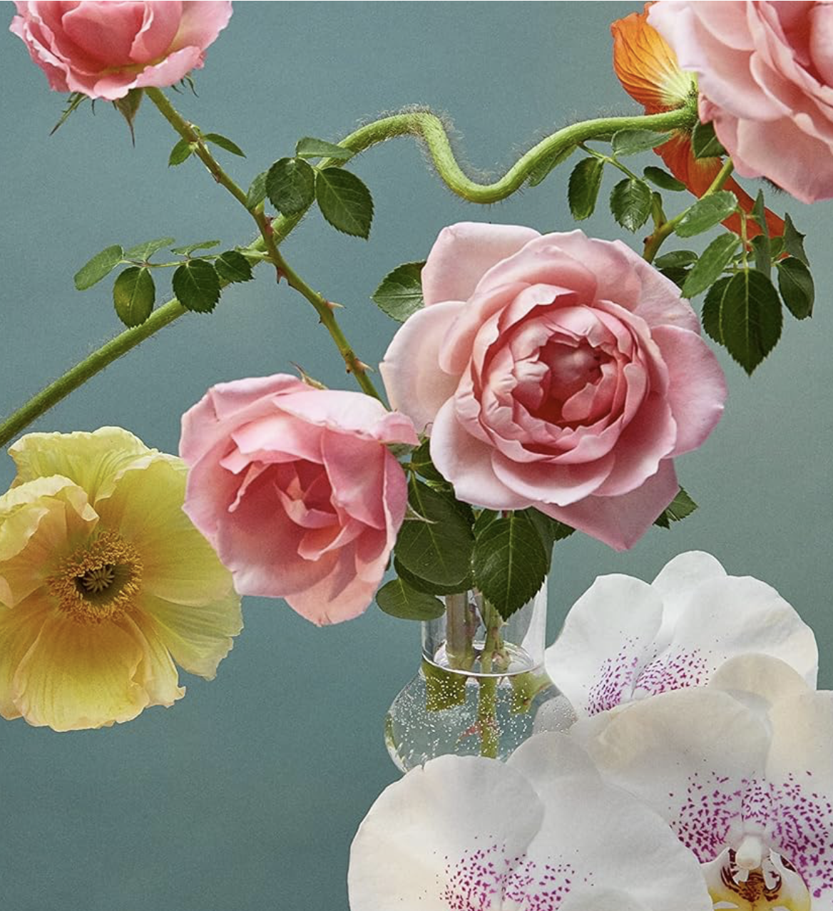 Botanical still life